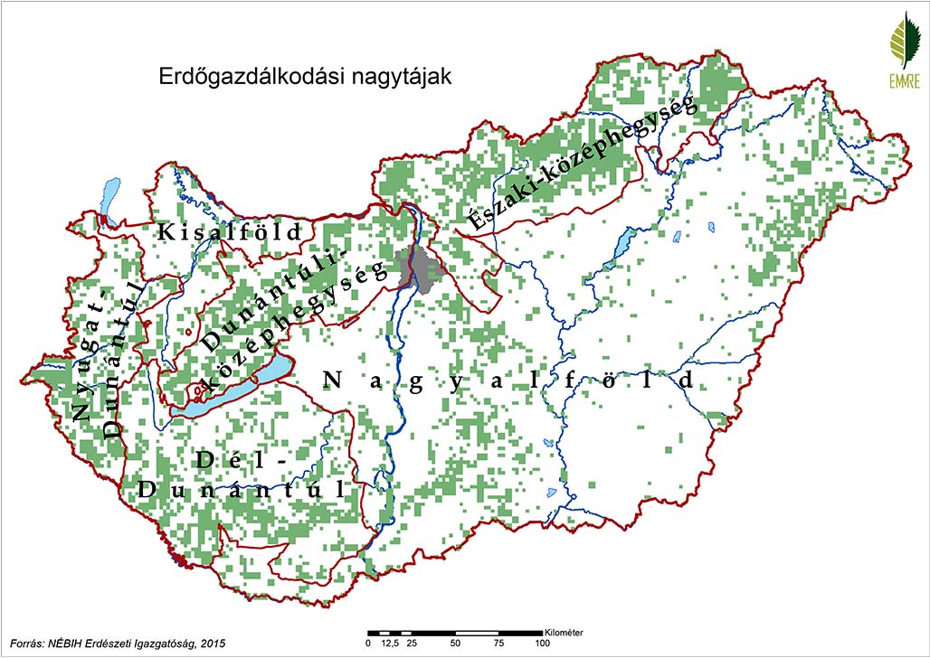 Erdészeti tájcsoportok